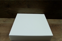 Square Column 50 x 50 cm