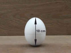 Egg 10 cm