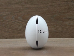 Egg 12 cm