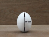 Ei 10 cm