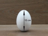 Ei 12 cm